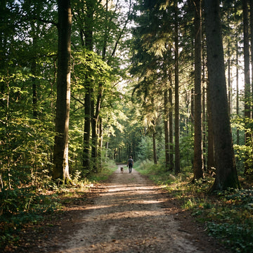 Wald & Runde